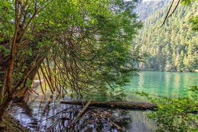 Cameron Lake im MacMillan Provincial Park
